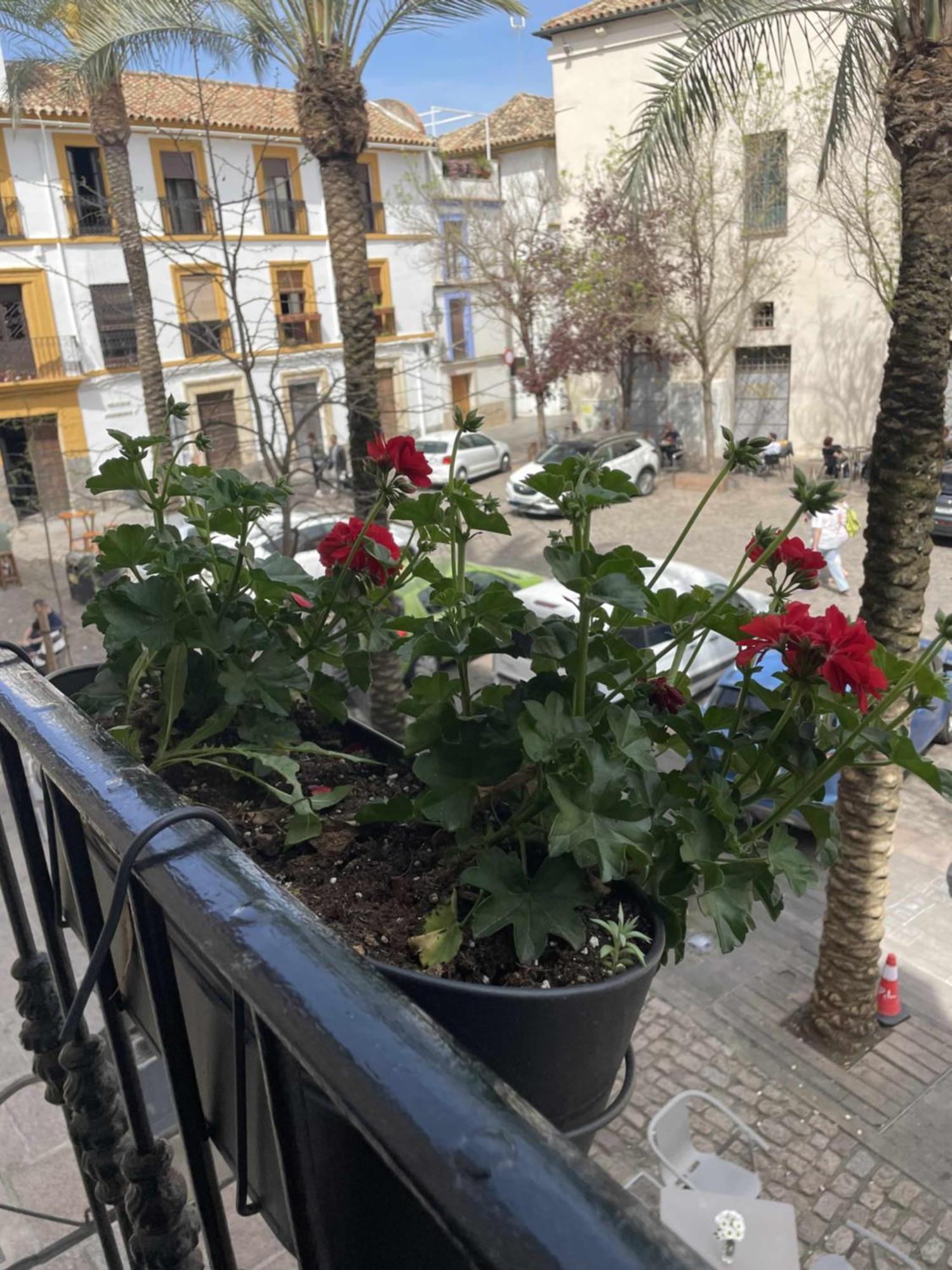 Precioso apartamento en Plaza de las Cañas Córdoba Exterior foto